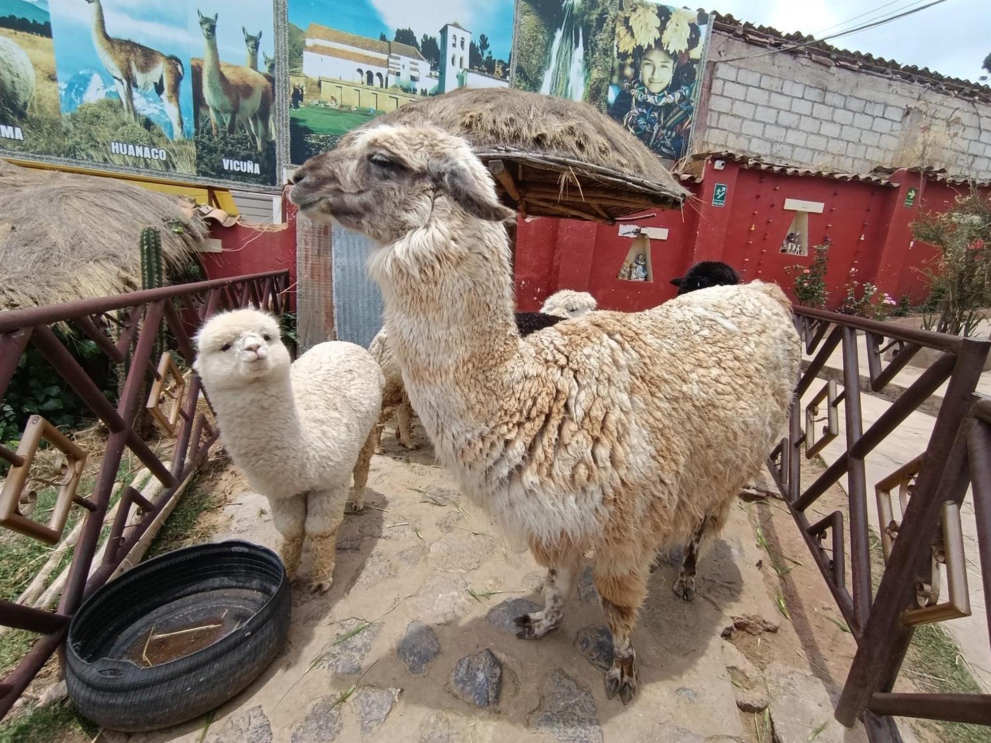 Hotel Humantay Lodge Ollantaytambo Zewnętrze zdjęcie